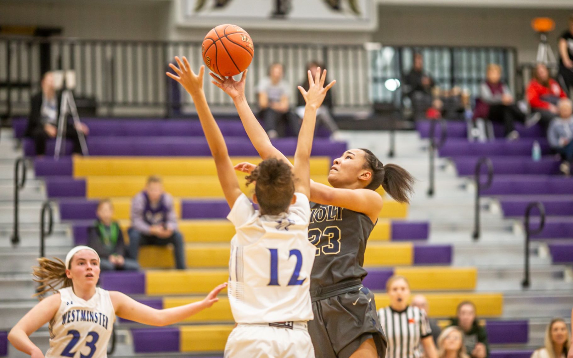 Westminster 48, Holt 42